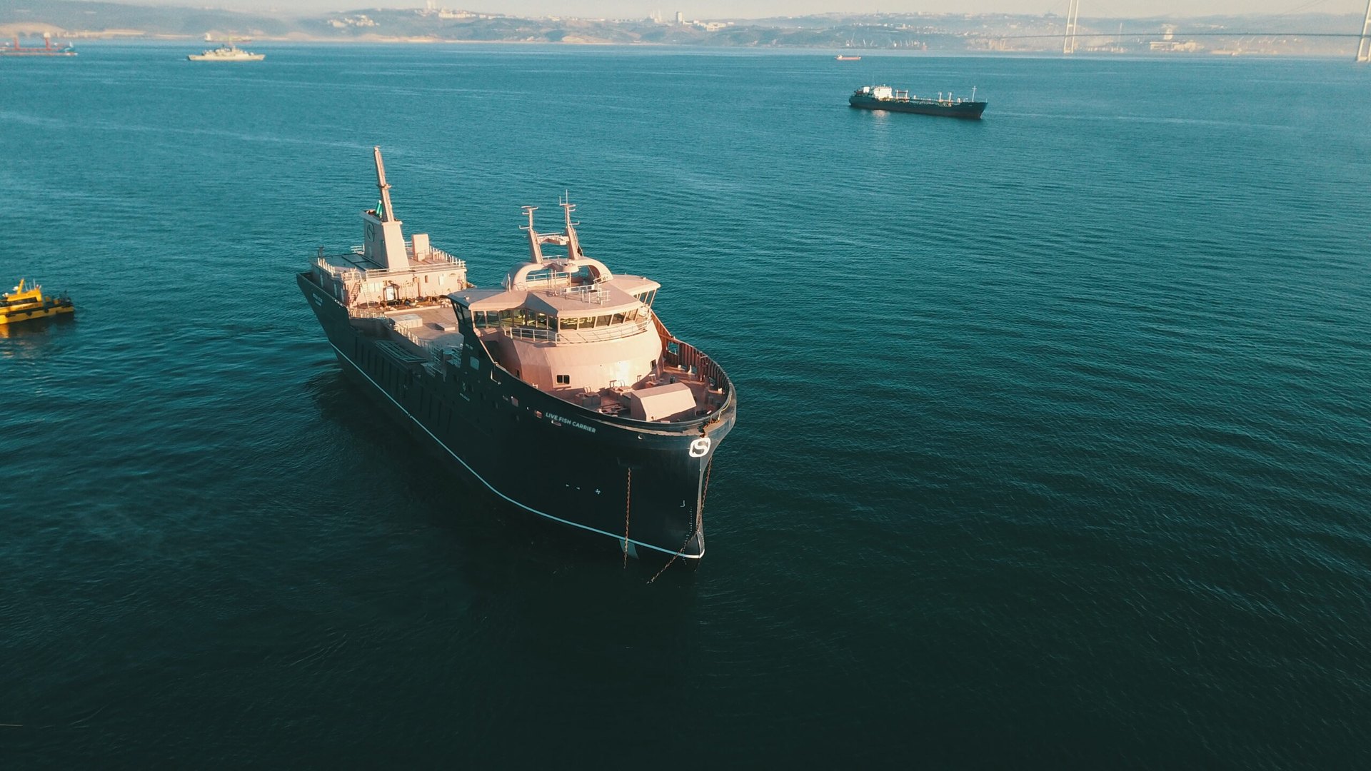 Denizde canlı balık taşıma gemisi (Live Fish Carrier)
